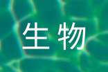 [优选]生物实验教学计划11篇
