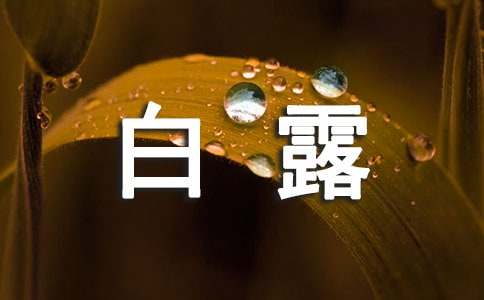 白露微信祝福语