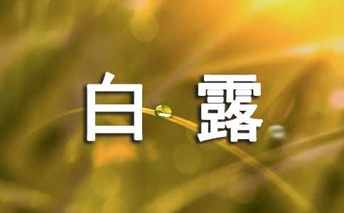 关于白露的说说