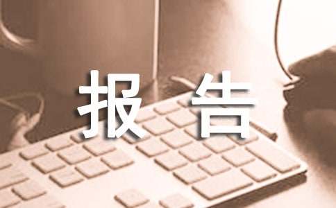 破产清算终结审计报告