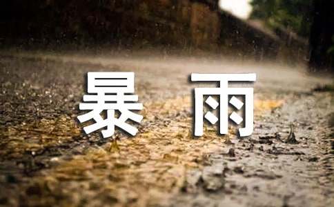 做好防暴雨的通知