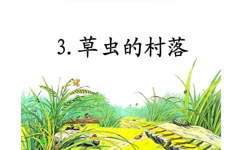 《草虫的村落》教学反思合集15篇