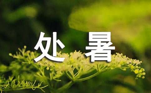 处暑正能量句子