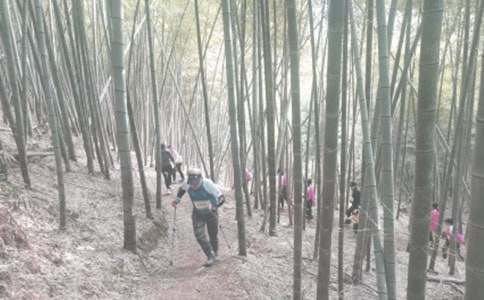 关于登山的心情说说