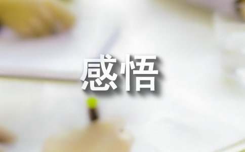 简洁的人生感悟语句