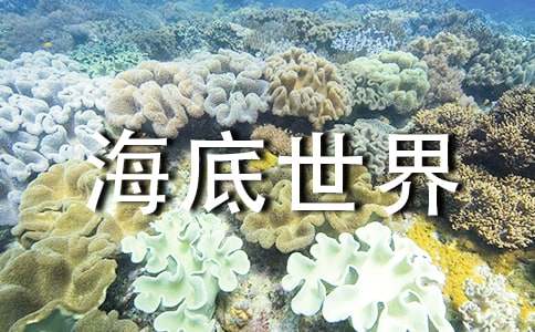 《海底世界》教学反思15篇