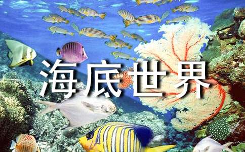 《海底世界》教案(汇编15篇)