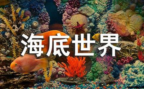 有关海底世界教案模板合集7篇