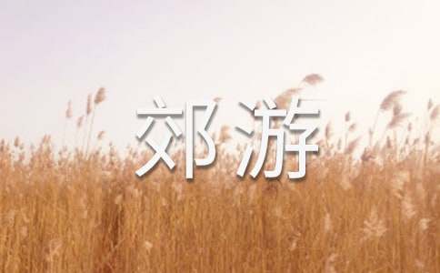 《去郊游》教案