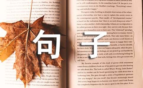 关于十一月再见，十二月你好个性句子说说（精选40句）