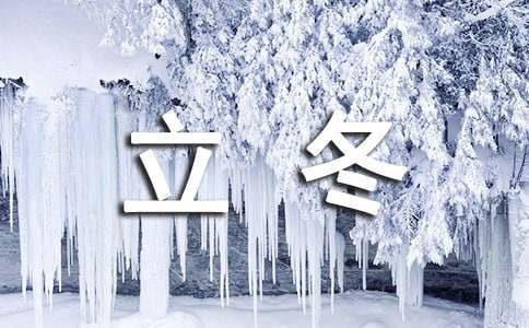立冬节气搞笑语录