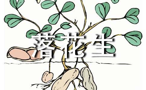 《落花生》教案范文集锦7篇