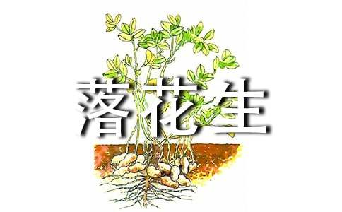 语文落花生教学反思