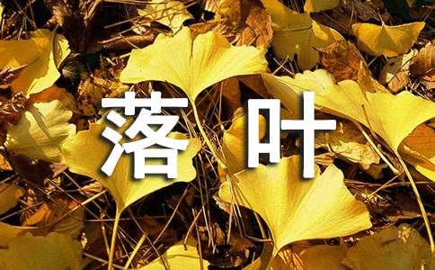 《落叶》说课稿范文（精选3篇）