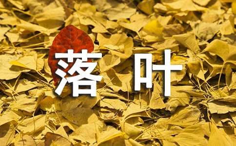 落叶教学反思合集15篇