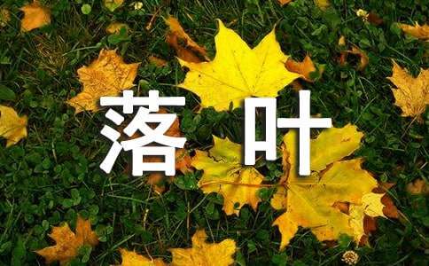 中班语言教案：落叶教案及教学反思