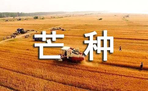 2022年芒种节气说说
