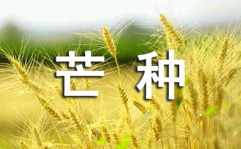 描写芒种的优美句子