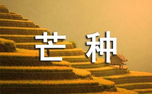 芒种节气说说