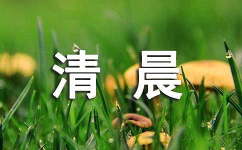 被鸟叫声唤醒的清晨的说说