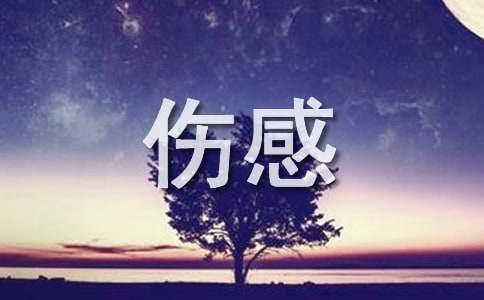 2025年常用唯美伤感句子汇总95句