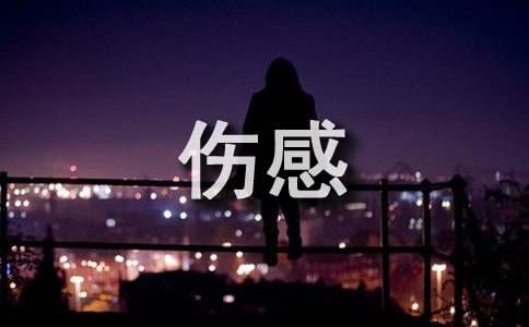 通用唯美伤感句子锦集86条