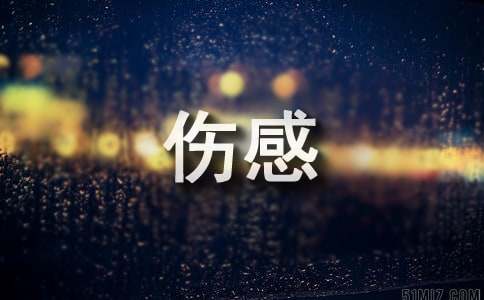 2024年精选唯美伤感句子集合100句