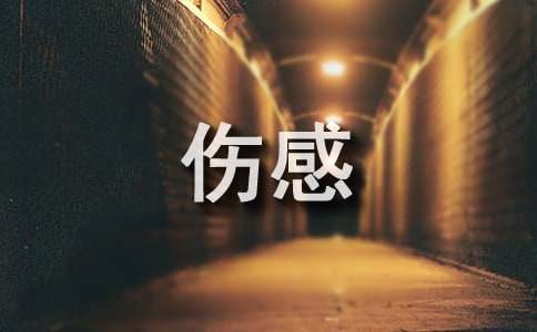 2025年通用唯美伤感句子集合36条