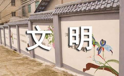 乡镇创建全国文明城市工作总结