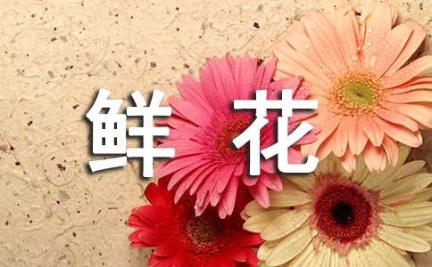 鲜花订购合同