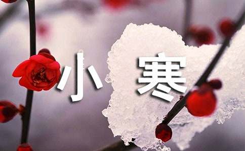 小寒微信说说30句