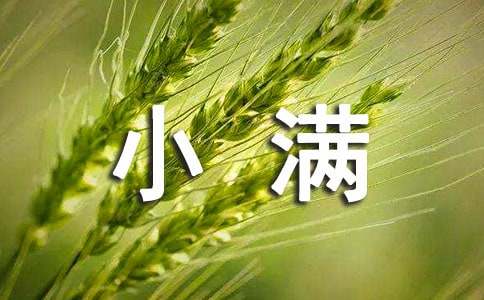 幼儿园大中小班社会节气《小满》教案