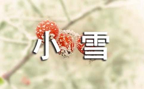 描写小雪的优美句子