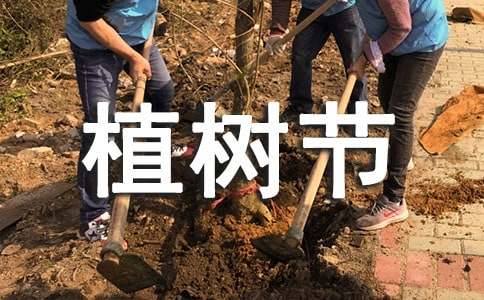 小学生植树节演讲稿通用(15篇)