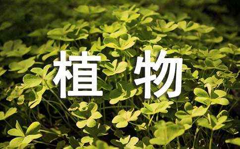 《种子植物》教学反思