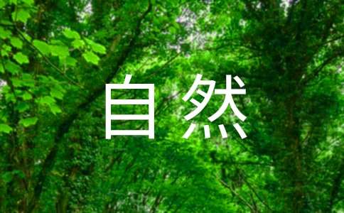 《自然之道》教学反思通用15篇