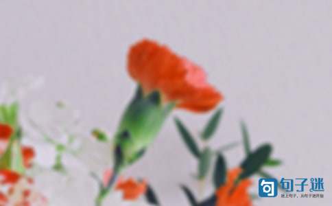 2021年简短的花朵优美句子集锦66条